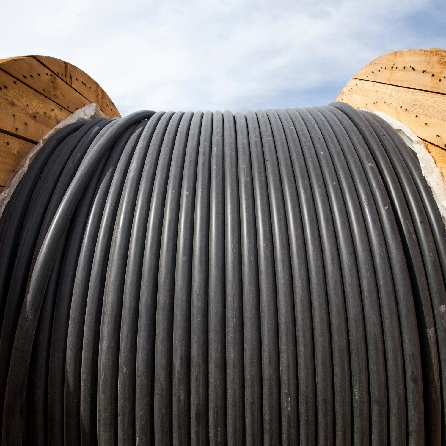 The game with our new additions!