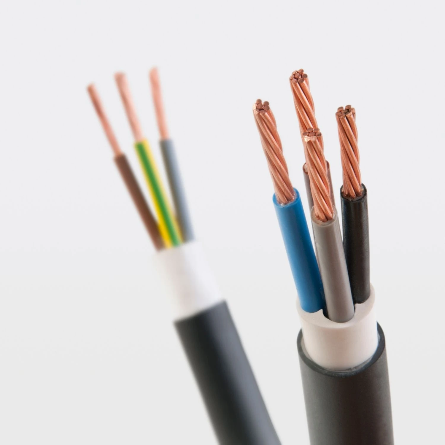 The game with our new additions!