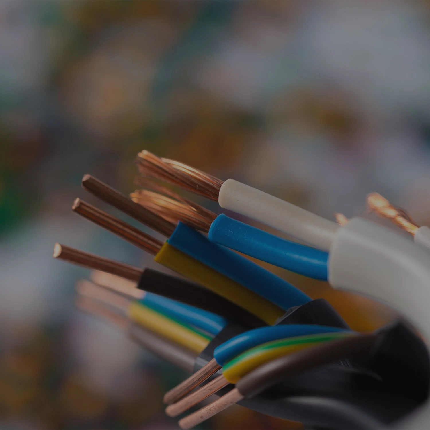 The game with our new additions!