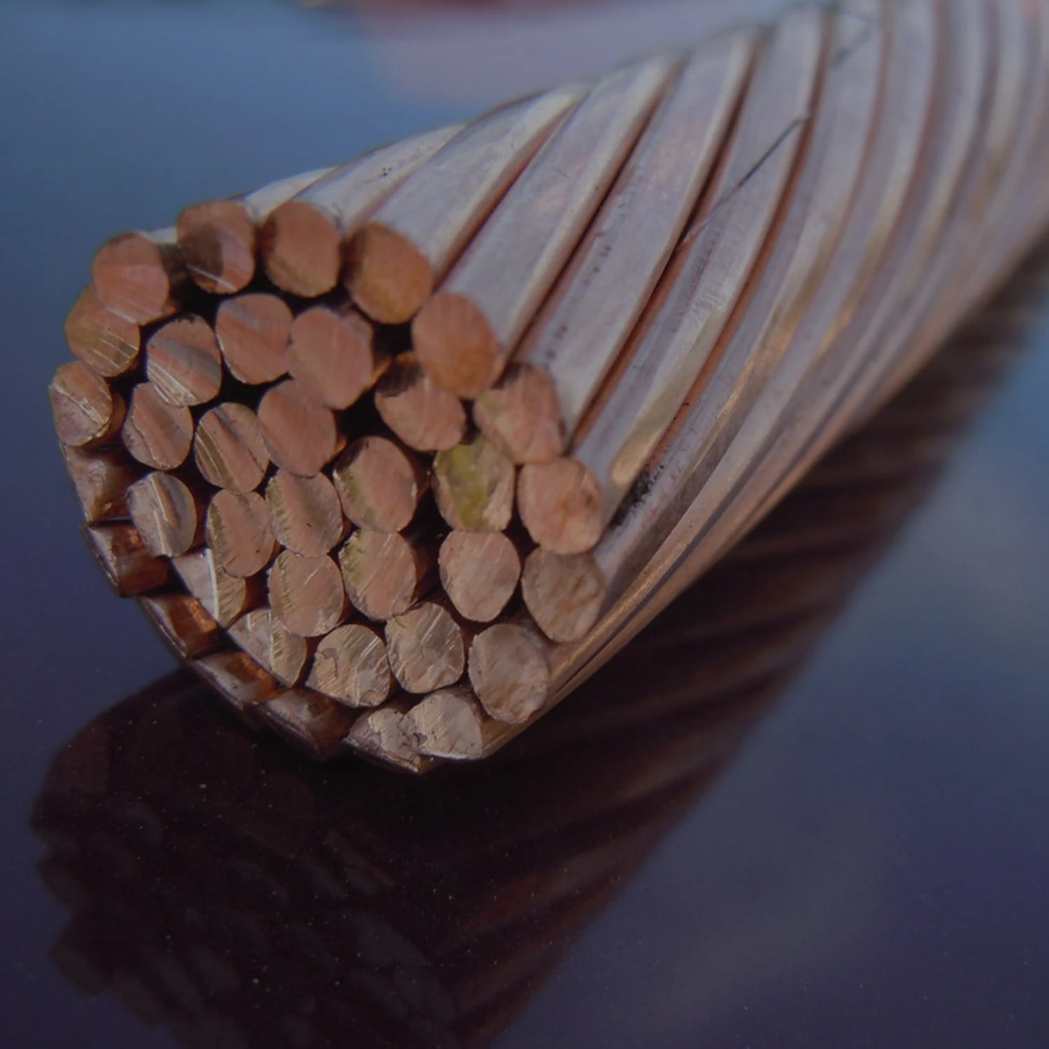 The game with our new additions!