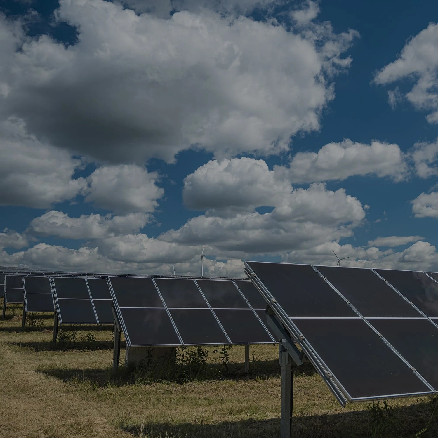 The game with our new additions!